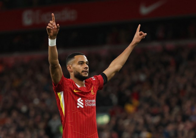 Liverpool vs Crystal Palace: Gakpo ready for Community Shield