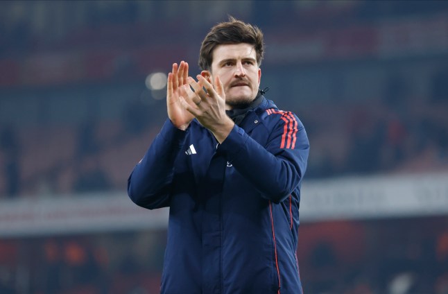 Harry Maguire (photo credit: Getty)
