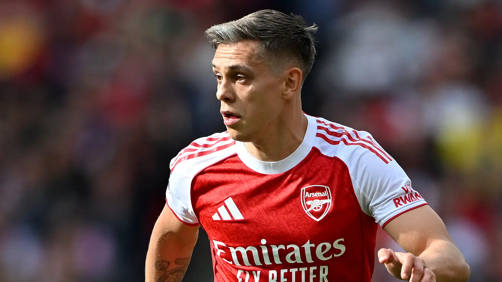 Arsenal’s Leandro Trossard move to Fenerbahce untrue – Romano