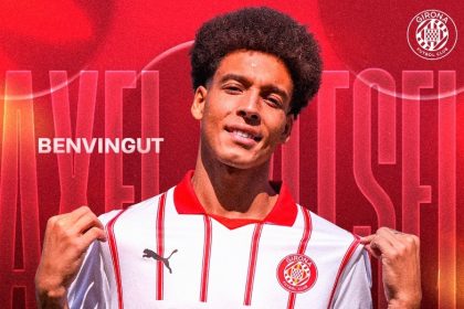 Witsel