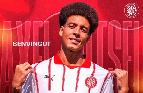 Witsel