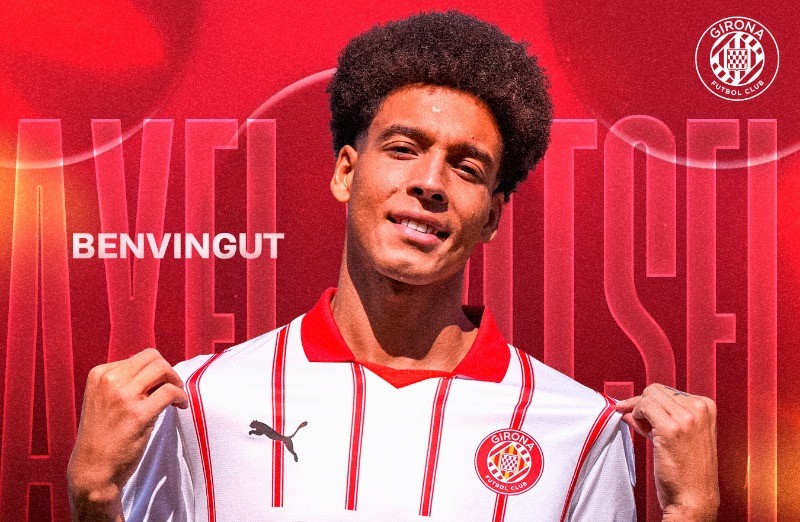 Witsel