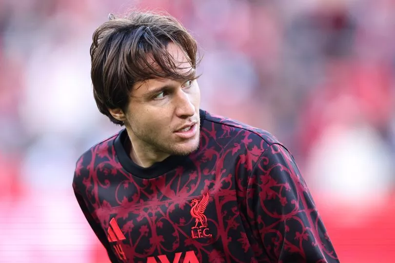 Federico Chiesa of liverpool(Photo credit: Liverpool via web)