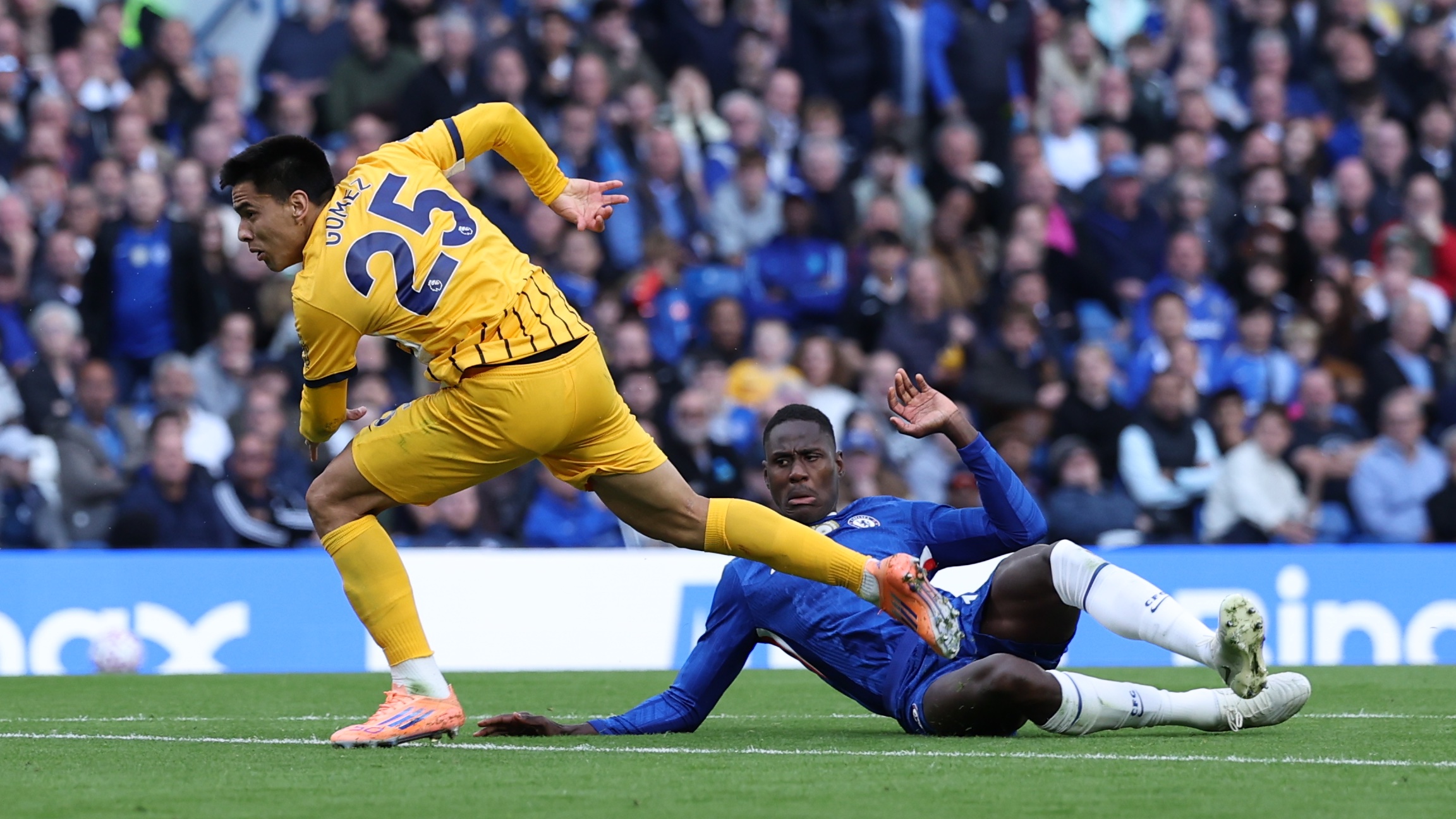 Trevor Chalobah on the floor. Photo credit: Brighton media.