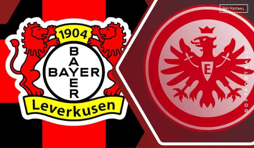 Bayer Leverkusen vs Eintracht Frankfurt (Photo Credit:Softfootball Media)