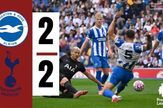 Brighton vs Tottenham (Photo Credit: Softfootball Media)