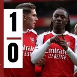 Arsenal 1-0 Crystal Palace. Photo Credit: Softfootball.