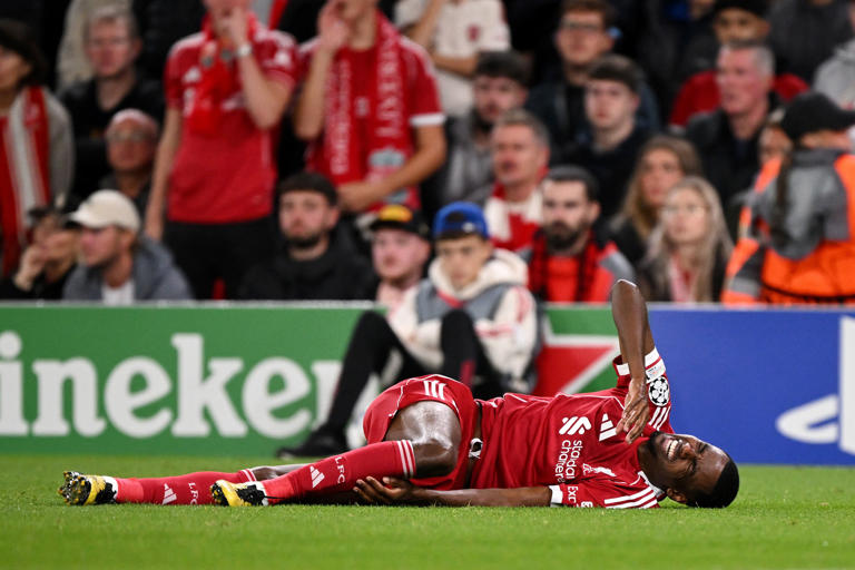 Alexander Isak (Photo Credit: Liverpool Website)