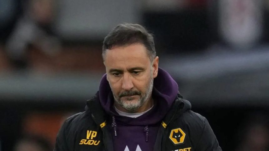 Vitor Pereira. Photo Credit: Wolves Media.