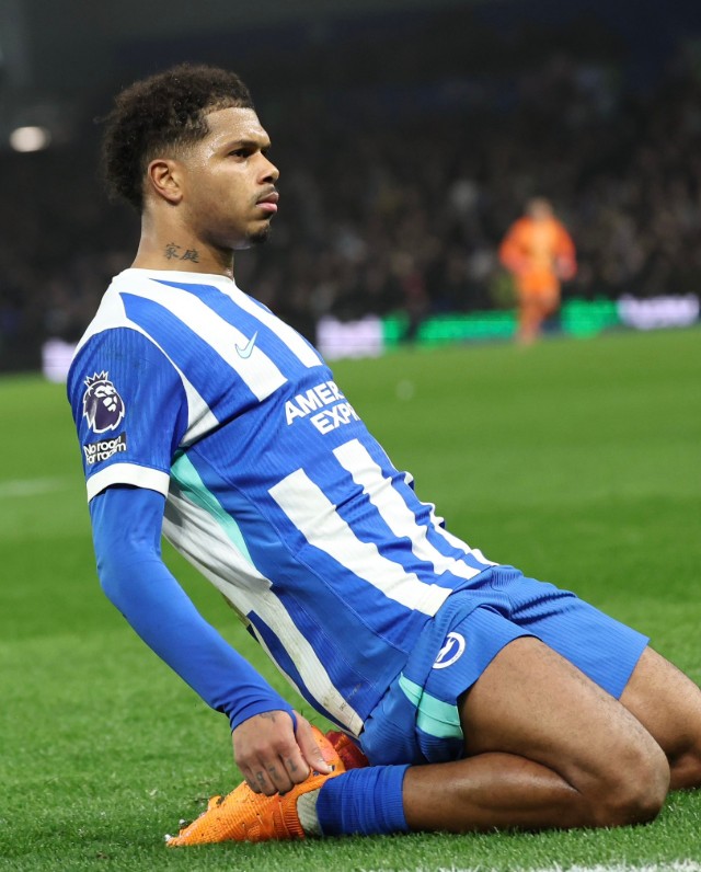 Georginio Rutter. (Photo Credit: Brighton Media).