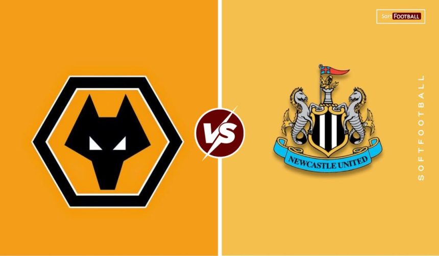 Wolve vs newcastle. (photo credit: softfootball media)