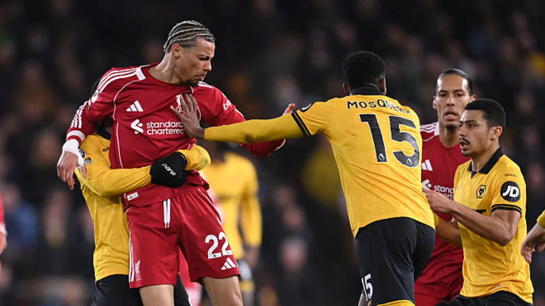 Liverpool 3-1 wolves. (photo credit: mlives media)