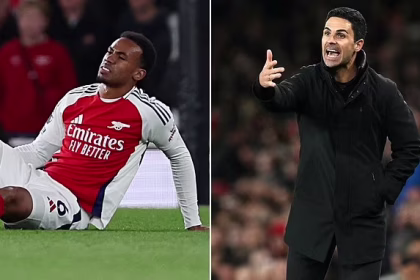 Gabriel Magalhães and mikel arteta- Photo credit: Daily mail