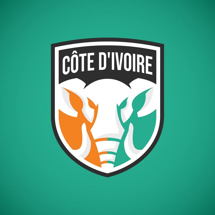 Côte d’Ivoire national football team logo - Photo Credit : Softfootball Media