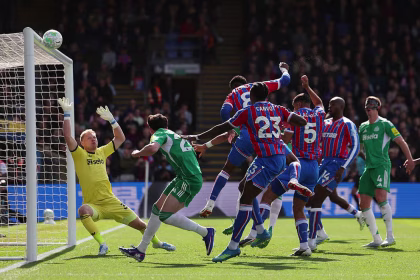 Crystal palace 2-1 Newcastle (photo credit: the guardian)