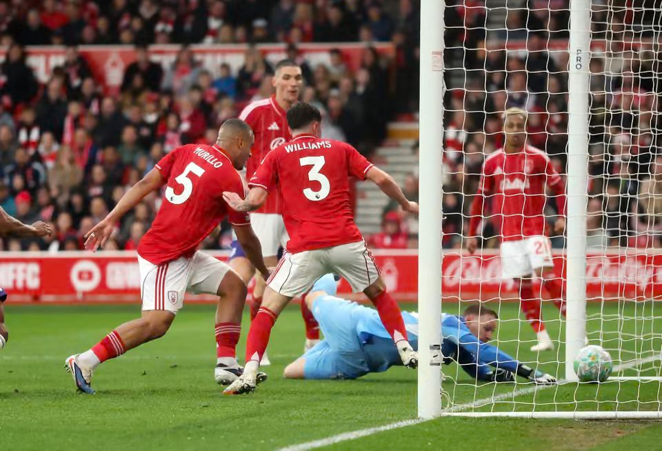Nottingham forest players (photo credit: Nottingham forest media)
