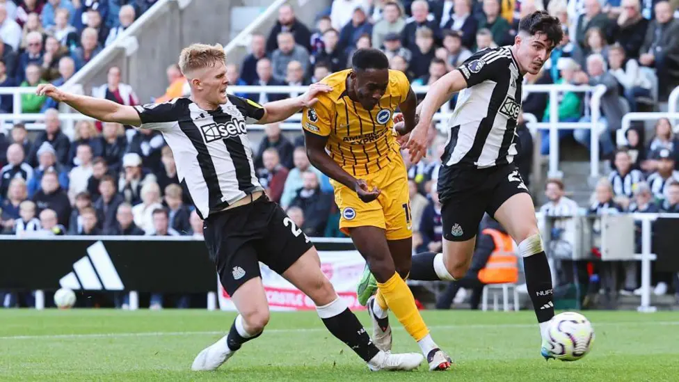 Newcastle v Brighton (Photo credit: bbc media)