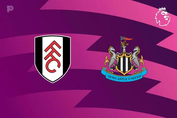 Fulham vs Newcastle united- Photo credit: Yahoo sports