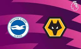 Brighton vs Wolves-Photo credit: One football