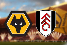 Wolves vs Fulham- Photo credit: Wolves media