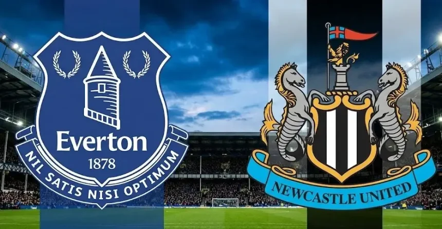 everton vs Newcastle united. (photo credit: yahoo media)