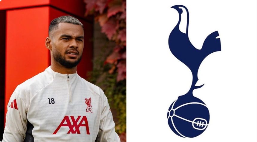 Tottenham Step Up Cody Gakpo Pursuit (Photo credit: Softfootball media)