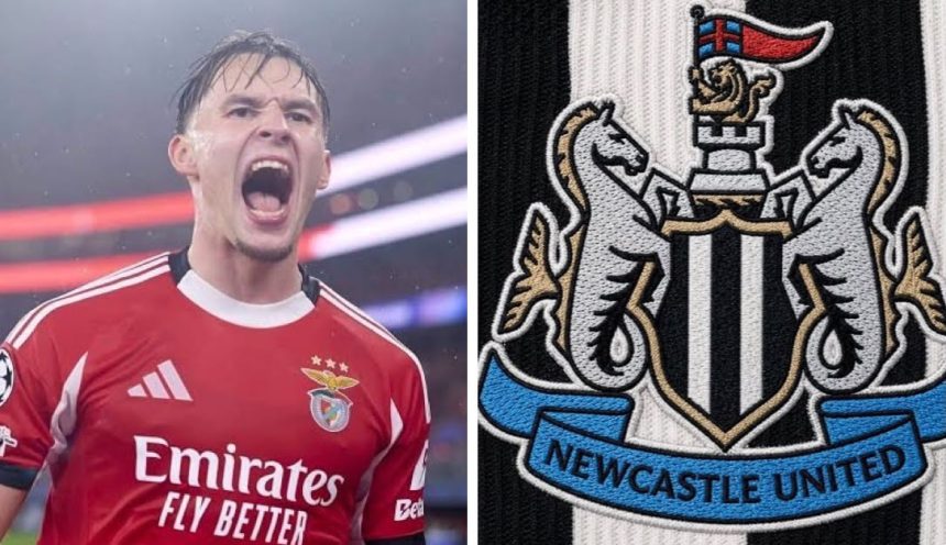 Newcastle Close to Amar Dedić Deal (Photo credit: Softfootball media)
