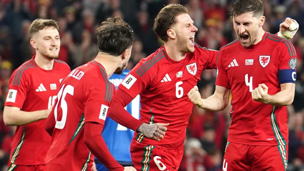 wales celebrating. (photo credit: bbc media)