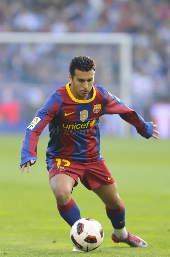 pedro. (photo credit: bbc media)