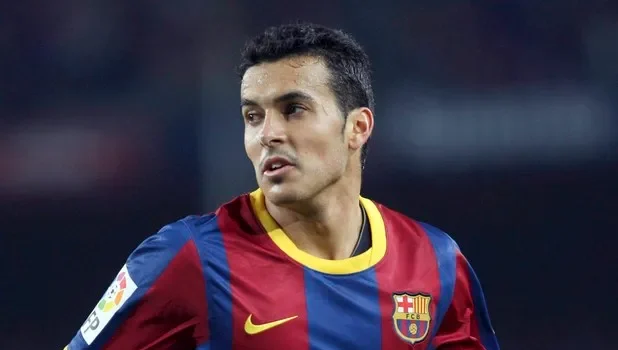 pedro. (photo credit: bbc media)