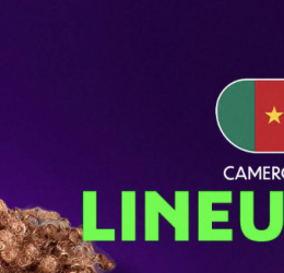 Cameroon Starting XI vs Malawi in the 2026 WAFCON Final - Photo Credit : Softfootball Media