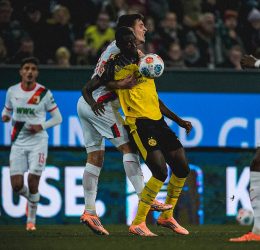 Serhou Guirassy in action (Photo Credit Dortmund X Handle)