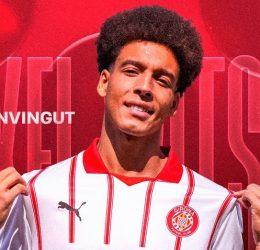 Witsel